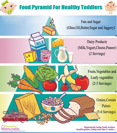 Food Pyramid and Vegetarian Balanced Diet for Your Super Healthy Toddler - #parenthood Vegetarian Food Pyramid, Food Pyramid Kids, Balanced Diet Chart, Fruit Recipes For Kids, Lunch Saludable, Nutrition Activities, Nutrition Chart, Healthy Toddler Meals, Food Pyramid