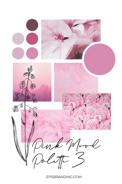 Pink Color Palettes, Business Colors, Pink Palette, Color Palette Pink, Baby Pink Colour, Branding Mood Board, Color Palate, Color Harmony, Blog Branding