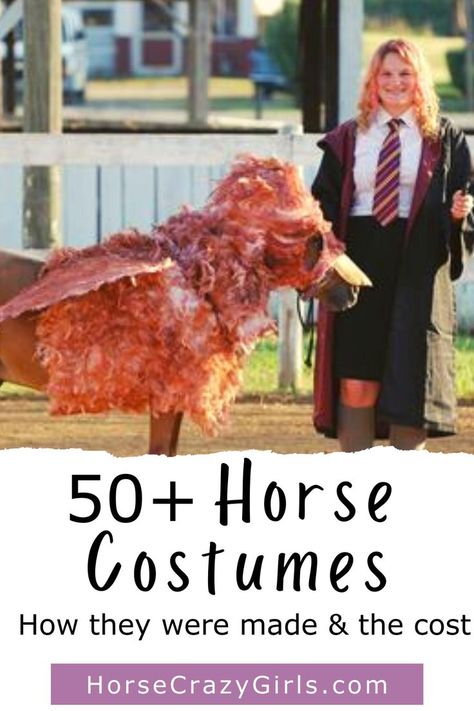 A girl dressed as a Hogwarts student standing with a miniature horse dressed as a hippogriff. The words 50+ Horse Costumes How they were made & the cost below the picture. Fancy Dress Horse And Rider, Circus Horse Rider Costume, Bay Horse Costume Ideas, Equine Halloween Costumes, Pony Costume Horses, Horse And Owner Costumes, Unique Horse And Rider Costumes, Equine Costume Ideas, Horse Riding Halloween Costumes