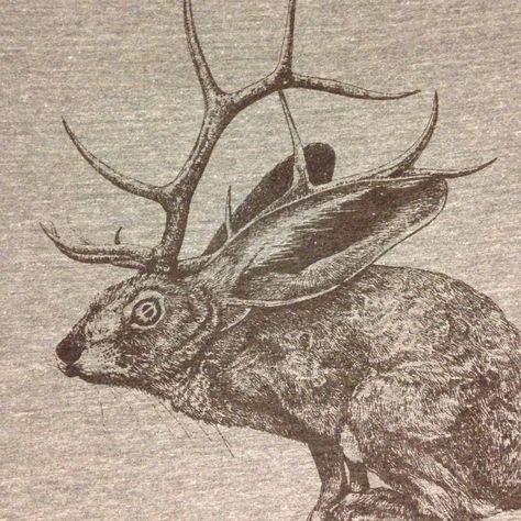 Vintage Cryptid Art, Jackalope Aesthetic, Jackdaw Drawing, Jackrabbit Art, Rabbit Creepy, Jackalope Art, Jack Rabbit, American Gothic, Mythical Creatures Art