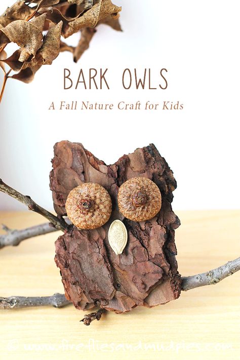 Bark Owls: A Fall Nature Craft for Kids. Carefully chip the bark into shape of owl.  Glue on 2 acorn tops for eyes and pumpkin seed for beak. Mud Pies, Nature Craft, Fall Nature, Owl Crafts, Autumn Crafts, Fall Crafts Diy, Fall Crafts For Kids, Autumn Nature, Crafts For Kids To Make