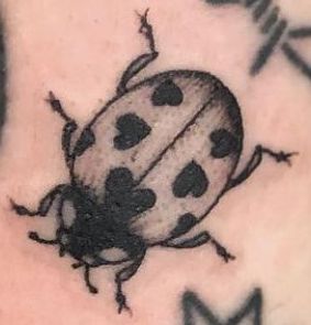 Ladybird Tattoo, Ladybug Tattoo, Abstract Tattoo Ideas, Illusion Tattoos, Optical Illusion Tattoos, Beetle Tattoo, Crazy Tattoos, Lady Bug Tattoo, Bug Tattoo