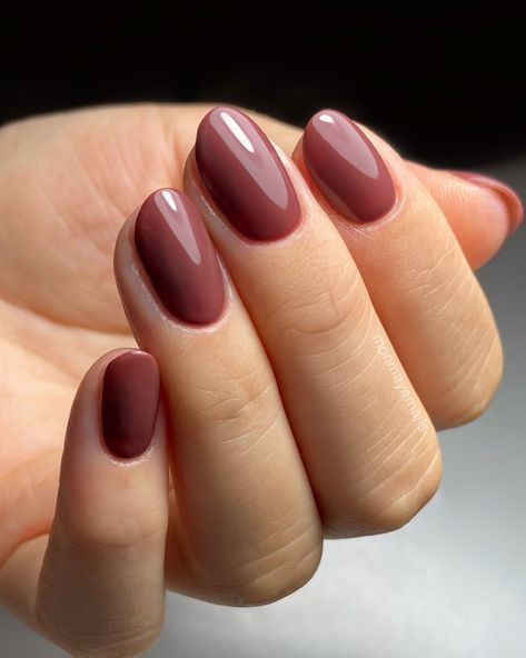 Fall Nails Nail Color Mauve Shades, Work Nails Professional Spring, Nail Colours On Dark Skin, Autumn 23 Nails, Mushroom Colour Nails, Autumnal Nail Colours, Muted Autumn Nails, Nail Autumn Colors, Autumn Nails Plain Colour