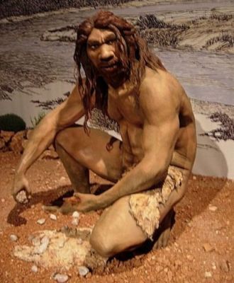 Reconstruction of "Heidelberg Man", Homo Heidelbergensis now used to refer to hominines intermediate between H. erectus and H. sapiens and H. neanderthalensis, and who lived from about 800,000 to about 300,000 years ago. H. heidelbergensis is morphologically very similar to Homo erectus but had a larger brain-case, about 93% the size of that of Homo sapiens. The holotype of the species was tall, 1.8 m and more muscular than modern humans. Prehistoric Timeline, Homo Heidelbergensis, Homo Habilis, Prehistoric Man, Human Evolution, Early Humans, Prehistoric World, Harbin, Human Species