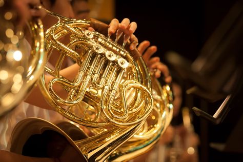 The horn is quite expensive for a brass instrument, but this French horn buying guide should point out some of the better-value instruments available. https://teds-list.com/tutorial/french-horn-buyers-guide/ French Horn Aesthetic, Horn Aesthetic, French Horn Sheet Music, Horn Instrument, Recorder Lessons, Beginner French, French Horns, Spend Wisely, Music Aesthetics