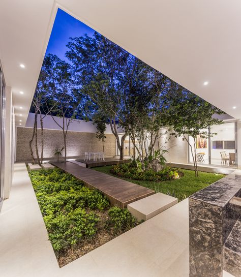 Casa Entre Árboles,© David Cervera Atrium House, Inside Garden, Courtyard Design, Desain Lanskap, Internal Courtyard, Casa Patio, Garden Architecture, Patio Interior, Courtyard House