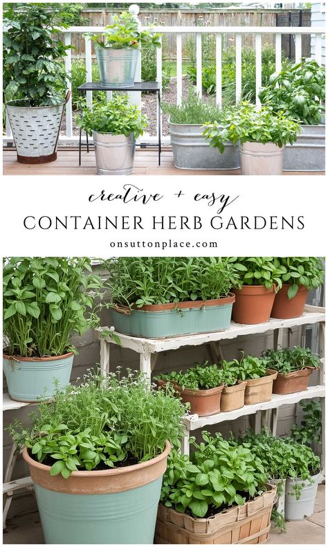 Discover creative container herb garden ideas to add charm and interest to your garden. Includes unique pots and growing tips. Container Garden Aesthetic, Modern Farmhouse Garden Ideas, Small Pot Garden Ideas, Herb Garden Shelves Outdoor, Gardening Container Ideas, Herbs On Deck, Elevated Herb Garden, Herbs Pots Ideas, Herb Garden Ideas Outdoor Potted