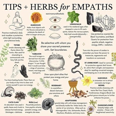 Magickal Herbs, Witch Herbs, Magia Das Ervas, An Empath, Witch Spirituality, Magic Herbs, Magical Herbs, Witch Spell Book, Herbal Healing