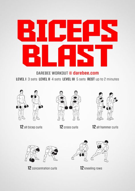 Biceps Workout Dumbbell Men, Arm Workout Men Dumbell, Dumbell Workout For Men Biceps, How To Get Big Biceps At Home, Grow Biceps Fast, Biceps Workout For Men At Home, Most Effective Bicep Workout, Home Workout Biceps, Bicep Calisthenics Workout