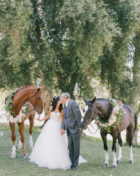 Horse Wedding Photos, Country Wedding Pictures, Equestrian Wedding, Cowgirl Wedding, Horse Wedding, Wedding Pets, Mod Wedding, Western Wedding, Themed Wedding