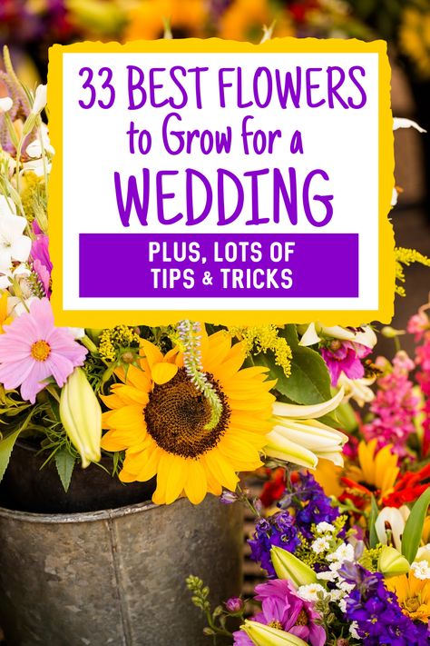 Garden Flower Wedding Bouquet, Planting Your Own Wedding Flowers, Plant Your Own Wedding Flowers, Garden Flowers For Wedding, Homegrown Wedding Flowers, June Flowers In Season Wedding Bouquets, Grow Your Own Flowers For Wedding, Growing Own Wedding Flowers, Grow Flowers For Wedding