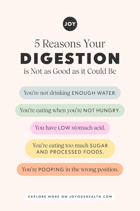 I used to have chronic digestive issues from heartburn to constipation - you name it. I have zero digestive issues now other than being a little bloated the day before my period, but that's totally normal. Here are five reasons your digestion is not as good as it could be and what you can do about it. #guthealth #digestion #digestivewellness #bloating #holisticnutrition Gastric Problem, Low Stomach Acid, Not Drinking Enough Water, Poor Digestion, Digestive Issues, Stomach Acid, Holistic Nutrition, Organic Health, Healthy Digestion