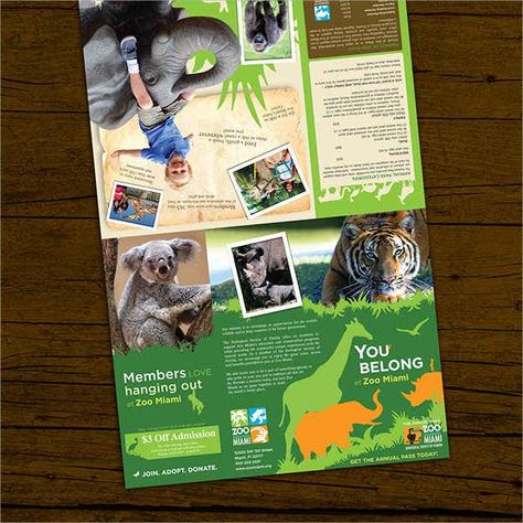 Zoo Brochure Template - Great Professional Template Ideas Zoo Brochure, Zoo Signage, Zoo Project, Brochure Examples, Photography Brochure, Voucher Design, Report Card Template, Animal Templates, Graphic Design Brochure