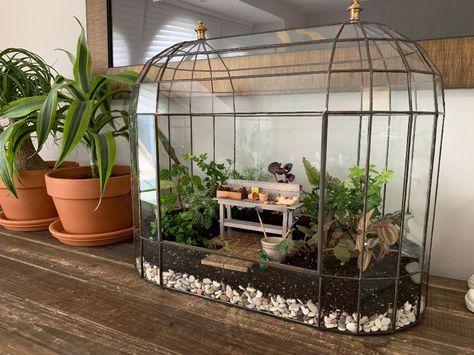 Victorian Terrariums, Wardian Case, Modern Terrarium, Large Terrarium, Diy Floral Decor, Beautiful Terrariums, Indoor Greenhouse, Garden Terrarium, Mini Plants