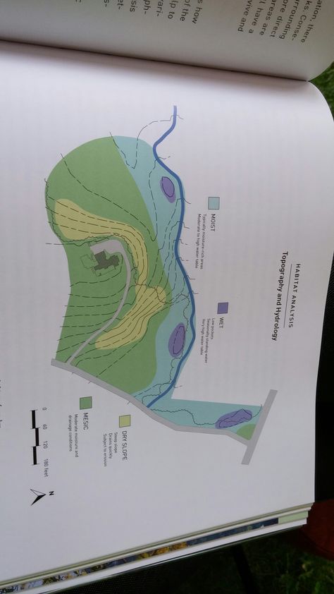 Habitat Analysis: Here's an example of how to map out topography and hydrology for your landscape area. Contour Analysis Architecture, Site Analysis Topography, Topography Analysis Architecture, Topography Analysis, Topography Site Analysis Architecture, Hydrology Analysis, Environmental Site Analysis, Context Map, Topography Map Architecture