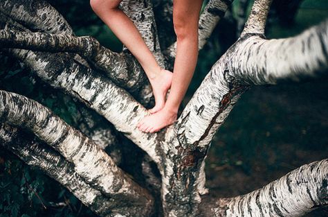 >>> own my own birch tree to climb in A Tree, Climbing, Trees