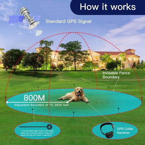 Invisible Dog Fence, Invisible Fence For Dogs, Electric Fence For Dogs, Electric Dog Fence, Garden Planning Layout, Invisible Fence, Wireless Dog Fence, Pet Barrier, Multiple Dogs