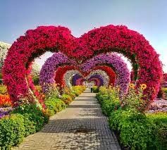 Dubai Garden, Flower Garden Plans, Miracle Garden, Dubai Holidays, Rose Belle, Red Background Images, Visit Dubai, Rose Pictures, Dslr Background Images