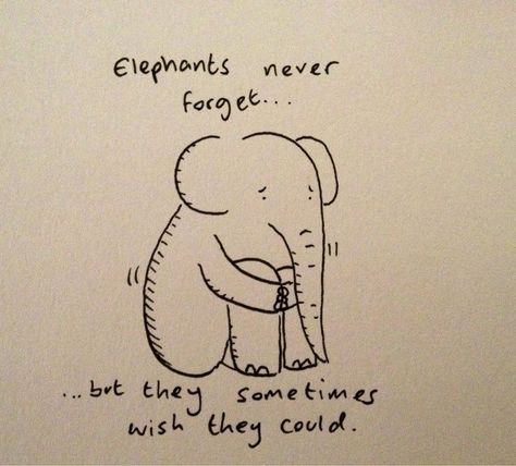 Never Forget Quotes, Elephant Spirit Animal, Elephant Quotes, Marriage Prayers, True Statements, Elephant Wallpaper, Elephant Home Decor, Rumi Love Quotes, Elephants Never Forget