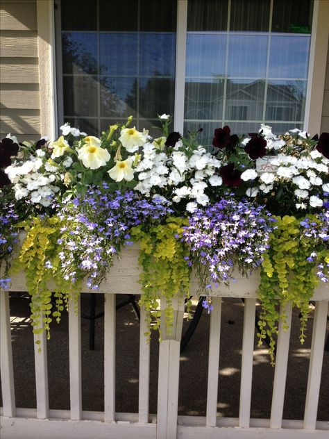 Front porch railing flower box Railing Flower Boxes, Railing Planter Boxes, Front Porch Flower Pots, Deck Railing Planters, Front Porch Flowers, Front Porch Planters, Planters Ideas, Window Box Garden, Spring Porch Decor