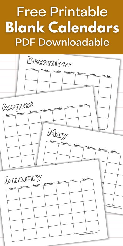 Blank monthly calendars to print off and decorate! Add your own dates to these monthly calendar pages. Great additions to a personal planner. Free Printable Blank Calendars, Free Printable Blank Monthly Calendars, Teacher Calendar Printables Free, Blank Calenders, Blank Calander Templates, Editable Monthly Calendar Template Free Printable, Homeschool Calendar Printables, Calendar Pages Printable Free, Blank Calendar Printable Free 2024