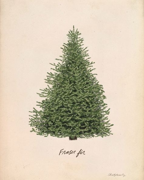 These Christmas tree prints are one of my favorite things for the holidays! Vintage Pine Tree Illustration, Vintage Christmas Tree Print, Vintage Christmas Art Prints, Vintage Christmas Tree Illustration, Xmas Tree Illustration, Vintage Christmas Graphics, Art In Kitchen, Christmas Tree Paintings, Christmas Tree Prints