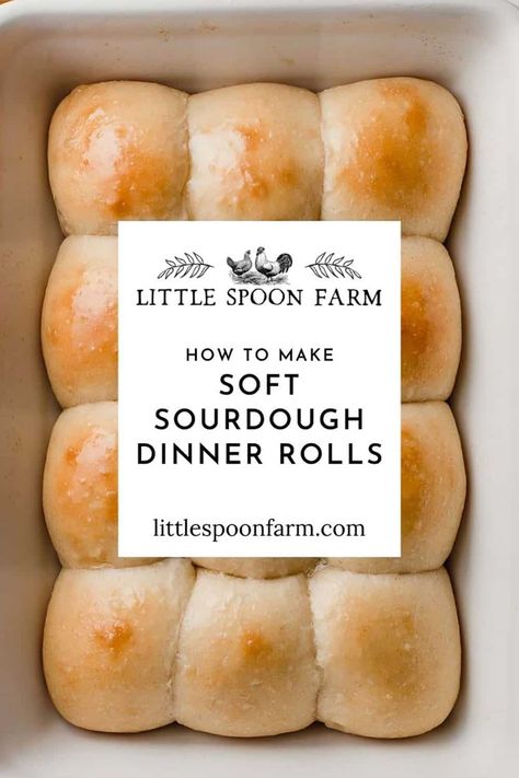 Soft sourdough dinner rolls are everything you ever dreamed of! These amazing, pull-apart style dinner rolls are soft and fluffy with just a touch of sweetness. You won't believe how easy they are to make! Dough Starter Recipe, Sourdough Dinner, Sourdough Dinner Rolls, Recipe Using Sourdough Starter, Sourdough Rolls, Sourdough Bread Starter, Dough Starter, Sourdough Starter Discard Recipe, Homemade Sourdough Bread