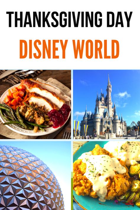 🍁You may be wondering if Disney World is open during Thanksgiving Day?  Absolutely!  If you’ve never experience Thanksgiving at Disney World, then you’re definitely missing out on one the best ways to jump start the holidays.  #DisneyThanksgiving Disney World Thanksgiving, Disney Thanksgiving, Disney Dinner, Thanksgiving Dinner Menu, American Dishes, Family Theme, Disney World Planning, Holiday Feast, Disney World Parks