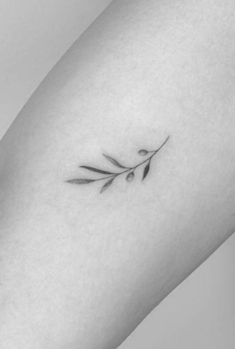 Mini Olive Branch Tattoo, Olive Tattoo Small Simple, Olive Fine Line Tattoo, Olive Branch Tattoo Minimalist, Tiny Botanical Tattoo, Minimalist Olive Branch Tattoo, Tattoo Women Patchwork, Olive Branch Small Tattoo, Zweig Tattoo