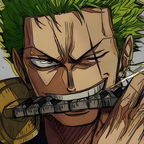 High Quality Pfp, One Piece Stuff, Quality Pfp, Zoro Icons, One Piece Aesthetic, رورونوا زورو, Zoro Nami, Anime Drawing Books, One Peice Anime