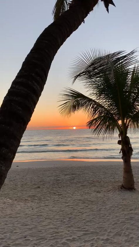 Mexico Sunset, Daily Calm, Tulum Hotels, Sunset On The Beach, Mexico Destinations, Beach Wallpaper, Tulum Mexico, Sunset Pictures, Alam Yang Indah