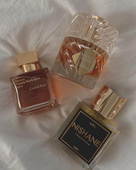 apollonia 💸 | fragrance reviews on Instagram: "my favorite holiday layering combo ✨ start w @maisonfranciskurkdjian GRAND SOIR as your base, add some spice w @nishane.official ANI, and then add a little bit of holiday sweetness w @kilianparis ANGELS’ SHARE. just spray until it feels right. 😌 — 🏷️ #perfume #perfumes #perfumelovers #perfumecollection #fraghead #fragrance #fragrances #fragrancecollection #fragrancelover #fragcomm #luxurylifestyle #perfumelayering" Grand Soir Perfume, Nishane Perfume, Layering Perfume, Perfume Collection Display, Angels Share, Perfume Display, Makeup Nails Designs, Wishlist 2024, Makeup Accesories