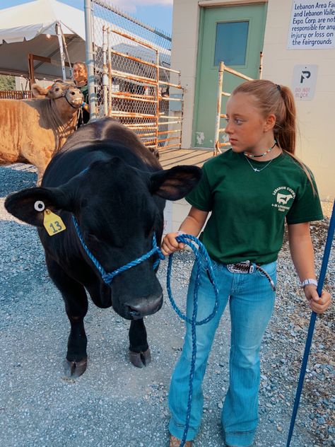 Showing Cattle Outfits, Cattle Showing Outfits, Showing Hairstyles Livestock, Show Outfits Livestock, Livestock Show Hairstyles, Cattle Show Outfits, Cattle Aesthetic, Ffa Aesthetic, Stock Show Outfits