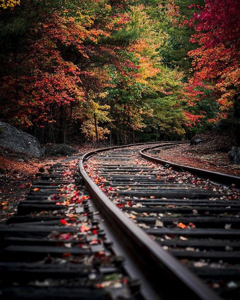 @professorhines) on Instagram: “Have you visited the @sonyalpha page to see our features from the Acadia National Park trip with…” Image Nature, National Parks Trip, Sony Alpha, Beautiful Nature Wallpaper, Beauty Photos, Train Tracks, Jolie Photo, The Train, Autumn Photography