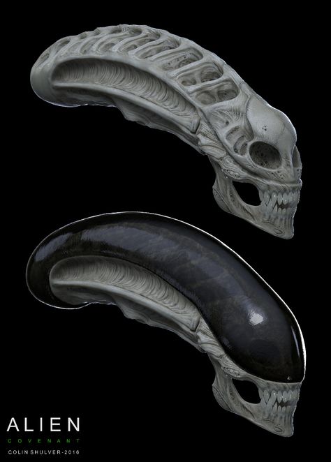 Alien Convenant, Xenomorph Head, Giger Alien, Predator Alien Art, Alien Skull, Alien Life Forms, Alien Artwork, Alien Drawings, Arte Alien