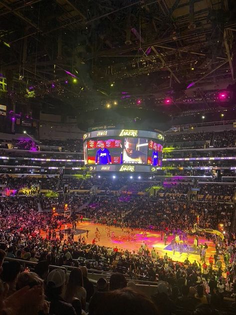 Lakers Game Aesthetic, Basketball Game Aesthetic, Bison Board, Manifestation 2023, Future Manifestation, Sophie Lark, Lakers Game, Enfp T, Future Music