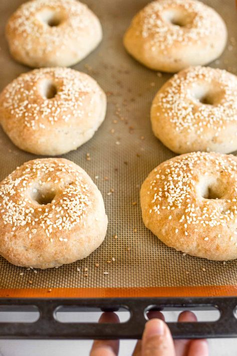 You're going to love these soft and tender gluten-free bagels. No boiling required to make these delicious bagels. Topped with sesame seeds, they're perfect toasted and topped with sliced avocado, smoked salmon, or even with jam! Totally dairy-free too, but no one would care! Bake a large batch and freeze so you can enjoy homemade bagels anytime! | how to make bagels | homemade bagels recipe | gluten free dairy free recipes | gluten free bread recipes Bagels Homemade, Avocado Smoked Salmon, Gluten Free Bread Recipes, Salt Free Diet, Make Bagels, How To Make Bagels, Bagels Recipe, Gluten Free Bagels, Sliced Avocado