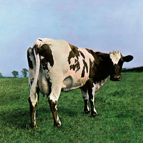 Atom Heart Mother (2011 Remastered Version) by  Pink Floyd on Spotify Mother Pink Floyd, Pink Floyd Record, Pink Floyd Album Covers, Storm Thorgerson, Pink Floyd Music, Atom Heart Mother, Pink Floyd Albums, H.r. Giger, The Velvet Underground