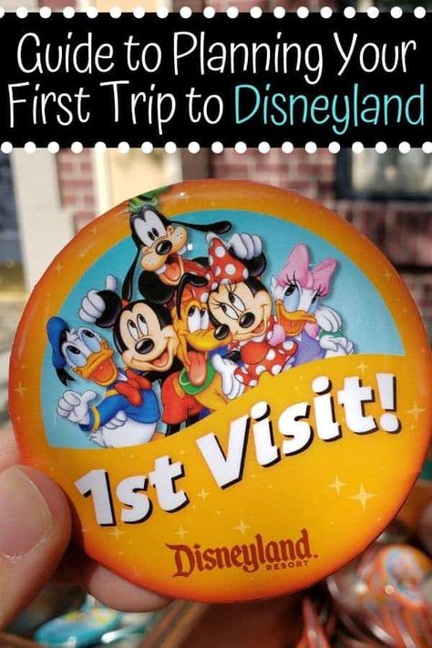 First Trip To Disneyland, First Disneyland Trip, Disneyland Day Trip, Disneyland First Time, Disneyland In April, Disneyland Must Haves, Disneyland Essentials, Socal Vacation, Disney Freebies