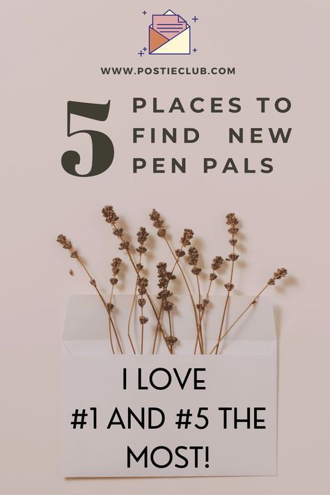 Five Different Suggestions on Where to Find Pen Pals – drawn by leslie Aesthetic Snail, Pen Pal Ideas, Penpal Ideas, Pretty Mail, Letters Ideas, Pen Pal Letters, New Pen, Pen Pals, Meeting New Friends