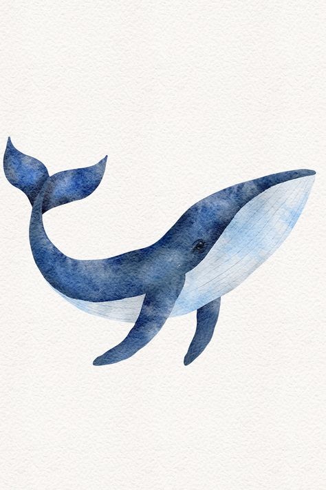 Watercolor blue whale illustration, hand-painted ocean animal isolated on white background Ocean Animal Watercolor Art, Drawings With Blue Background, Watercolour Ocean Animals, Blue Fish Painting, Humpback Whale Drawing Simple, Blue Animals Drawing, Watercolor Art Ocean Animals, Simple Sea Drawing, Watercolour Sea Animals