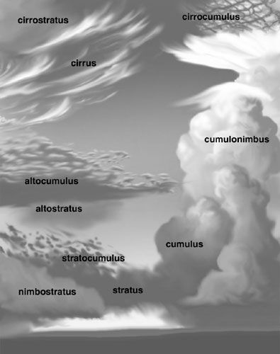 Cloud types--for my meteorological friends. Cloud Types, Cloud Type, Wild Waters, Matka Natura, Meteorology, Homeschool Science, To Infinity And Beyond, Natural Phenomena, Sky And Clouds