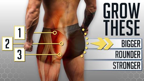 The 4 BEST Glutes Exercises Ft. Bret Contreras (GYM OR HOME) Jeremy Ethier, Build Glutes, Glutes Workout Men, Bret Contreras, Glutes Exercises, Best Glute Exercises, Glute Muscles, Lift Workout, Gym Workout Guide