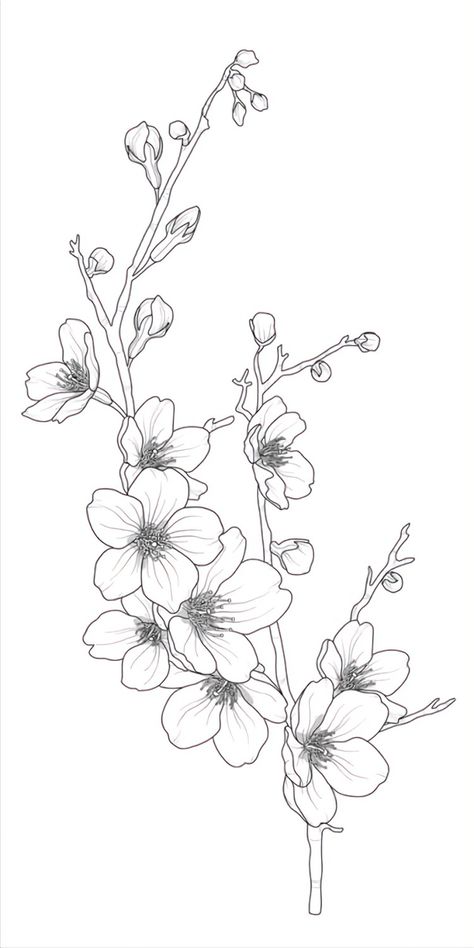 Sakura Sketch Flower, Cherry Blossom Outline, Burn Hats, Cherry Blossom Drawing, Sakura Tattoo, Seni Pastel, Flower Line Drawings, Flower Drawings, صفحات التلوين