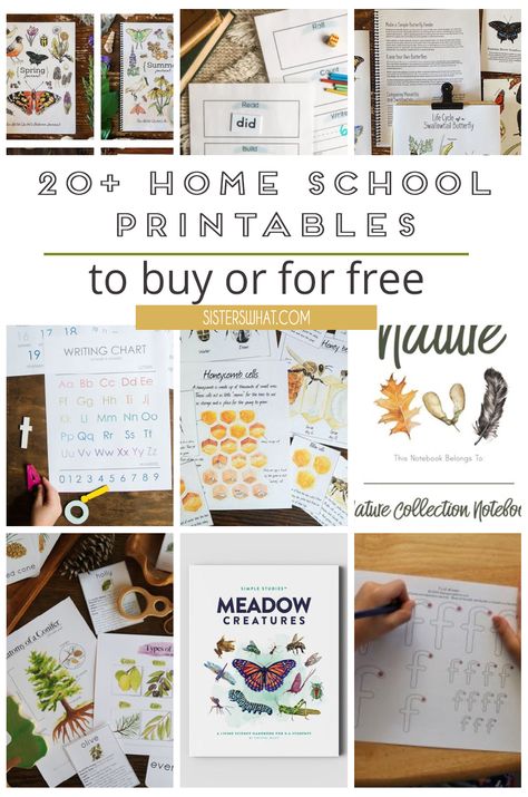 come check out a great list of home school printables you can buy and many you can download for free #homeschool #homeschoolprintables #charlottemason #unitstudies #naturestudy Pencil Wands, Homeschool Aesthetic, Embroidery Teacher, Diy Playdough, Homeschool Nature Study, Summer Kid, Unit Studies Homeschool, Free Homeschool Printables, Free Homeschool Resources