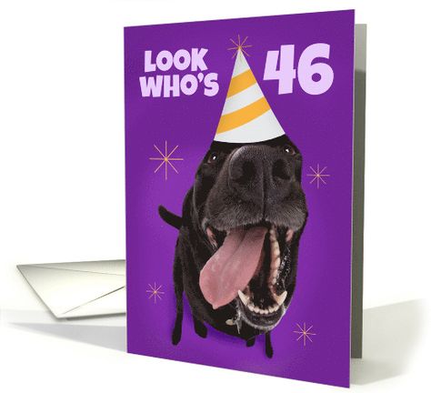 Happy 46th Birthday Funny Dog in Party Hat Humor card Happy 21st Birthday Funny, Happy 89th Birthday, Happy 73rd Birthday, Happy 68th Birthday, Happy 66th Birthday, Happy 59th Birthday, Happy 76th Birthday, Happy 51st Birthday, Happy 69th Birthday