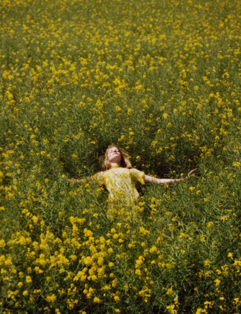 (via Olivia Bee - BOOOOOOOM! - CREATE * INSPIRE * COMMUNITY *... Olivia Bee, Cottagecore Aesthetic, + Core + Aesthetic, Summer Solstice, Mellow Yellow, Nature Aesthetic, Fotografi Potret, Flower Field, Photography Inspo