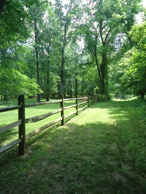 House With Forest Backyard, Forest In Backyard, Backyard With Forest, Backyard Landscaping Big Yard, Backyard With Woods, Backyard Forest Landscape Ideas, Big Yard Aesthetic, Backyard Woods Landscaping, Backyard Forest Landscape