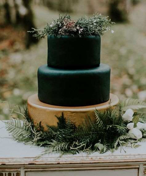 Black Wedding Cake, Gold Winter Wedding, Halloween Wedding Cakes, Black And Gold Wedding, Green Wedding Cake, Black Cake, Black Wedding Cakes, Wedding Cake Photos, Winter Wedding Cake