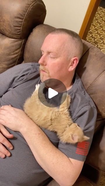 Pubity on Instagram: "Look at them at the end! 🤣  (Stephanie Smith via Viralhog)  - #kittens #kittens #cat #dad #pubity" Silly Kittens Funny, Funny Cat Videos Can't Stop Laughing, Cute Kitty Videos, Silly Cats Videos, Baby Kitten Videos, Cute Kitten Videos, Funny Kitten Videos, Cats And Kittens Videos, Mad Cats